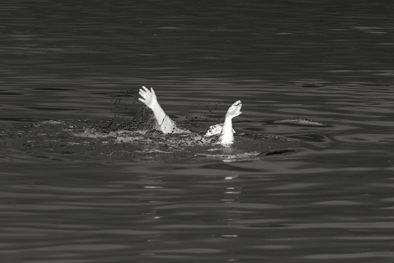 Another Citation (2. Flailing)